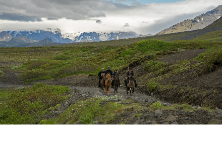 Riding with the Herd in Iceland 